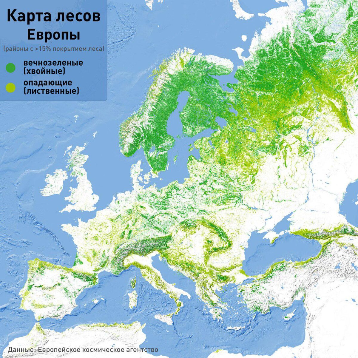 Карта растительности европы