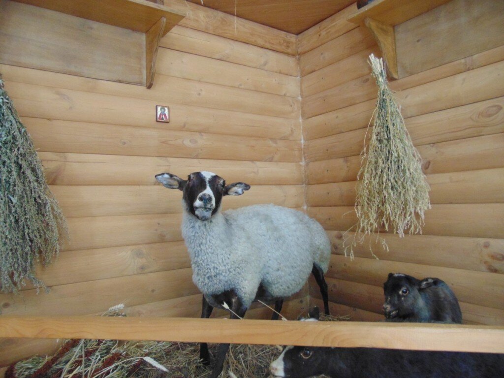 Источник: www.tourprom.ru