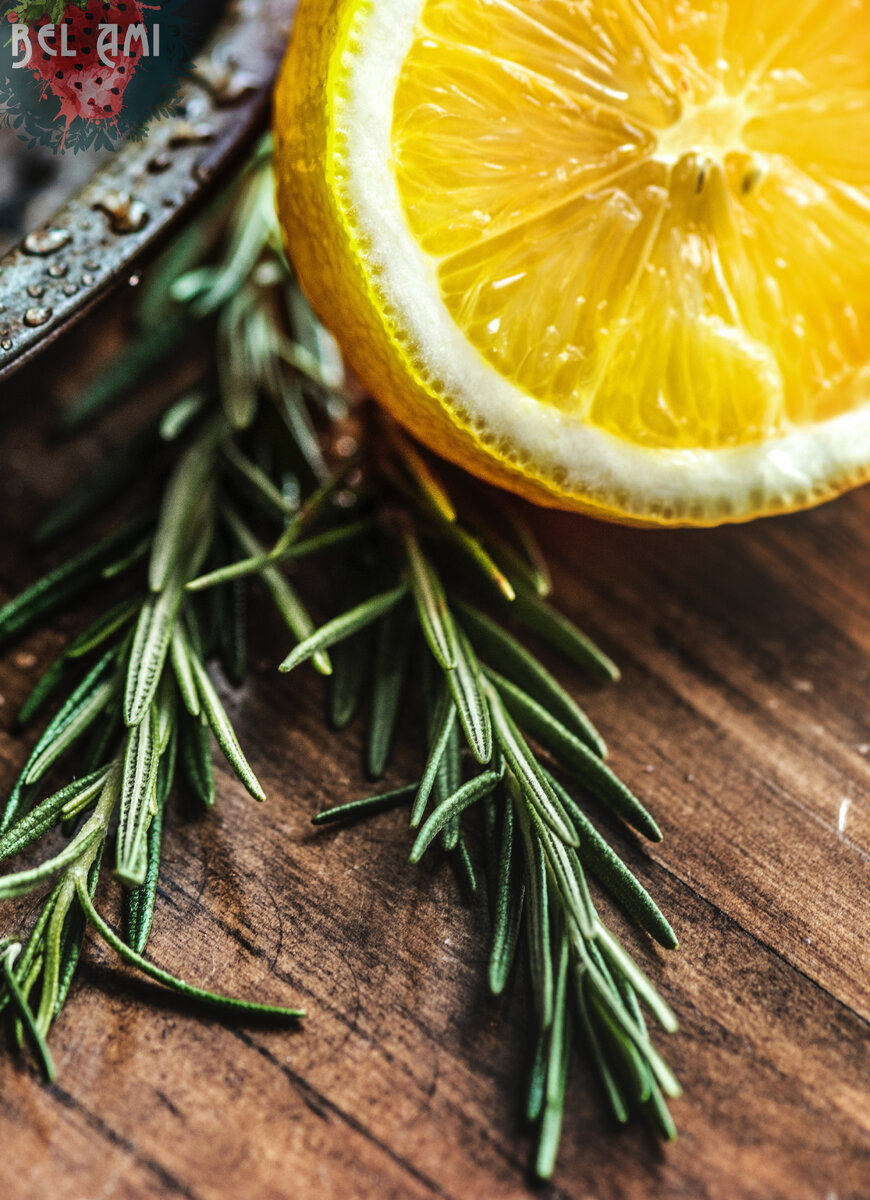 Лекарственное растение - Розмарин