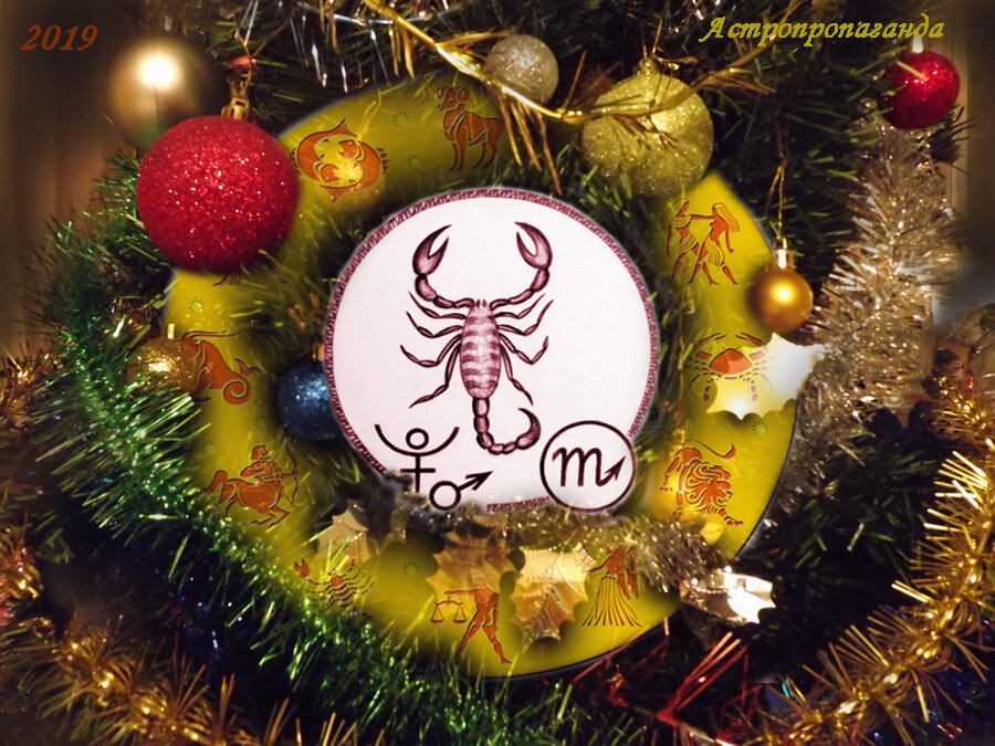 Коллаж Нины Стрелковой.