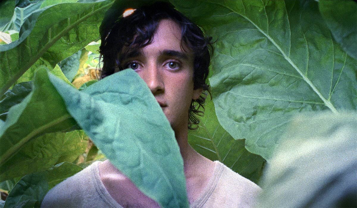 Lazzaro felice