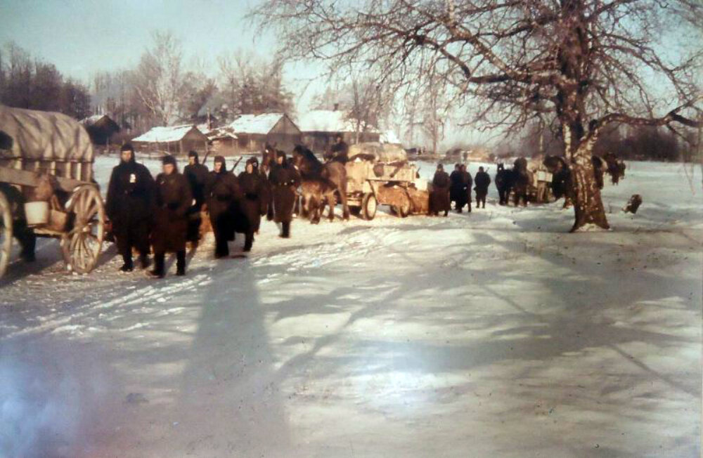 Зима. Немецкий обоз. 1942 г.