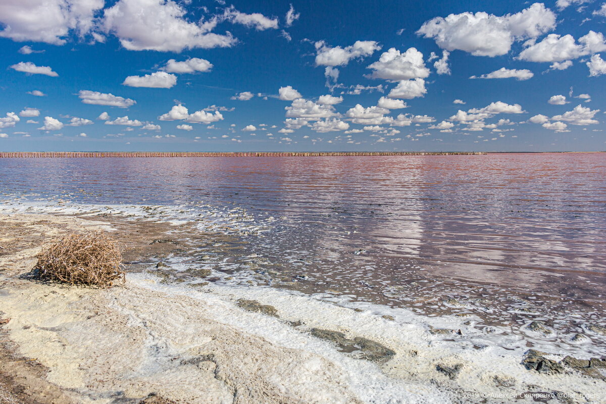Гнилое море