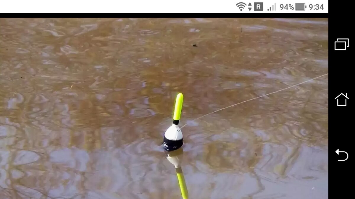 фото Снасть для ловли в проводку: поплавок, поводок с крючком