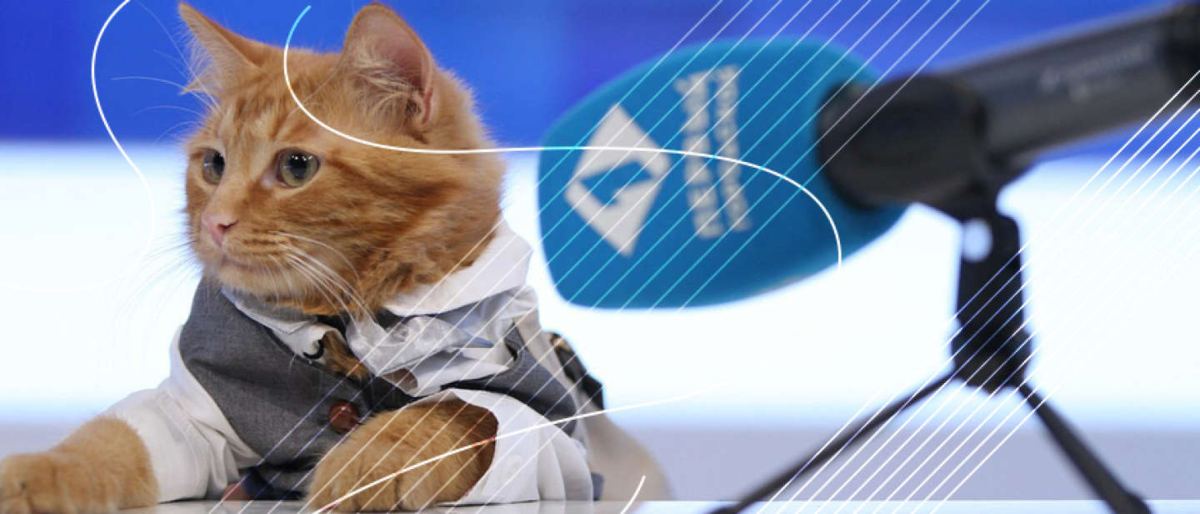 кот журналист. кошка сяма. коты журналисты. кот корреспондент. коты журналисты.