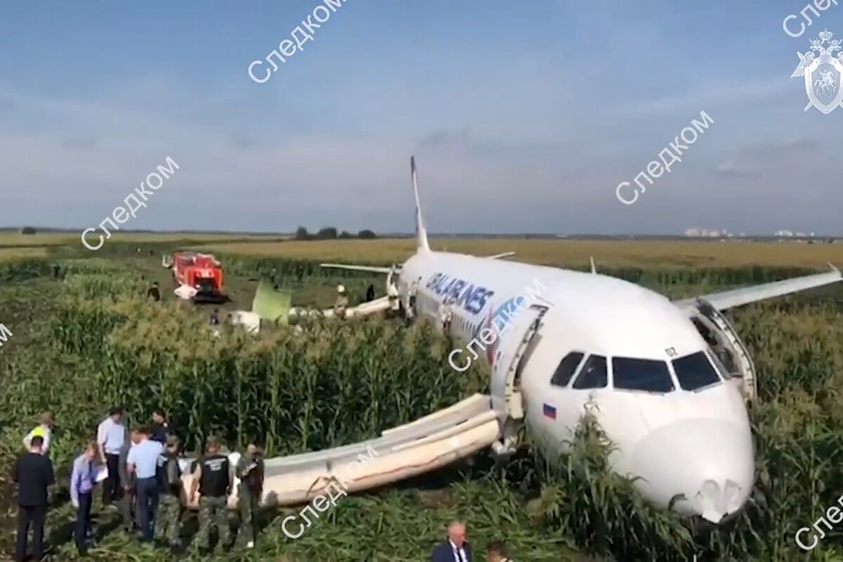 Фото из интернета. Самолёт "Уральских авиалиний" после аварийной посадки 15.08.2019