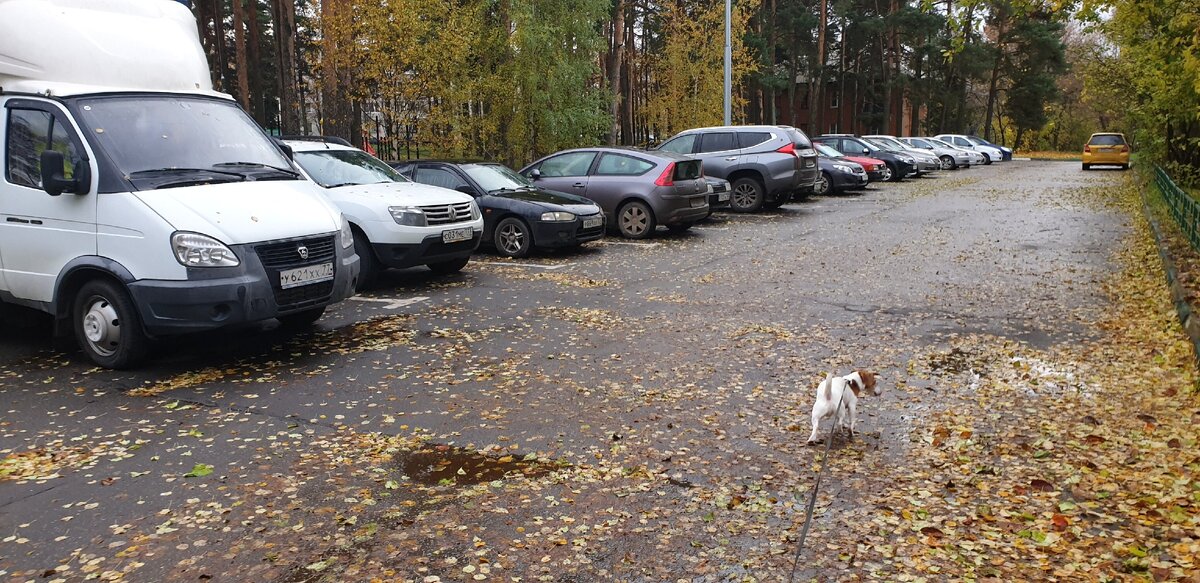 Ставят газель во дворе. Газель во дворе. Газель во дворе высоком качестве. Газель во дворе частного сектора. Массовая парковка газелей во дворах.