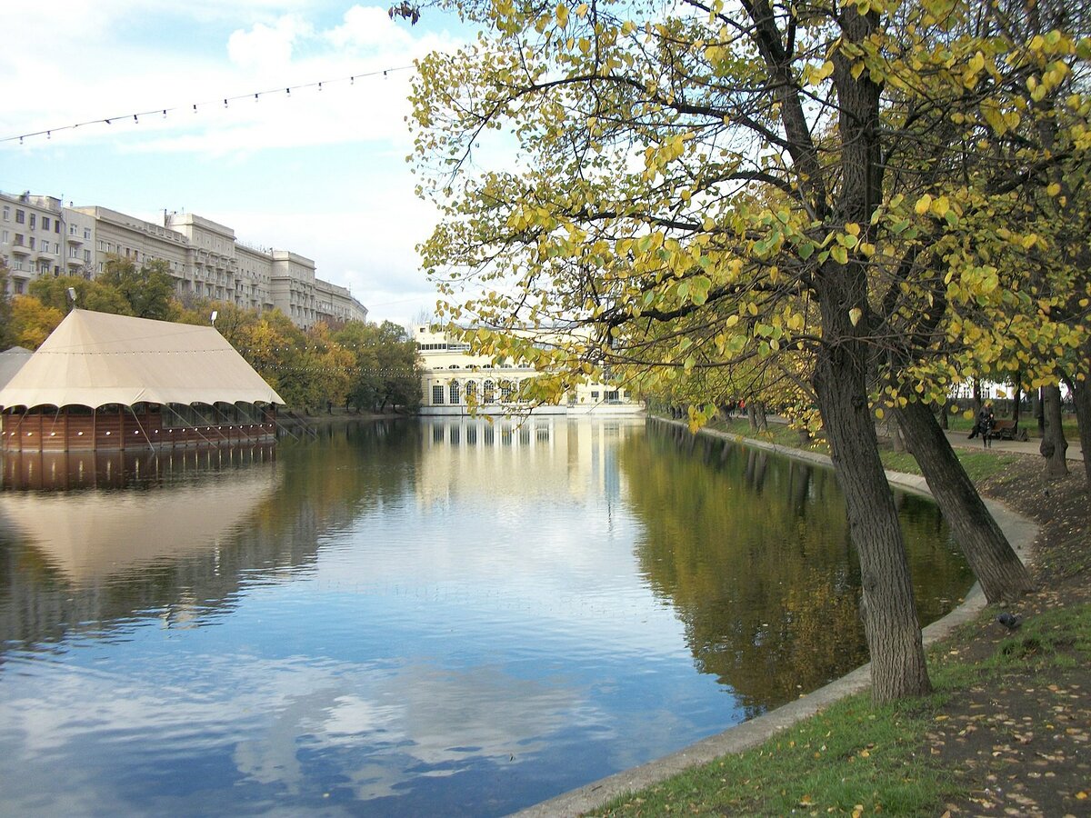 изображение из открытых источников