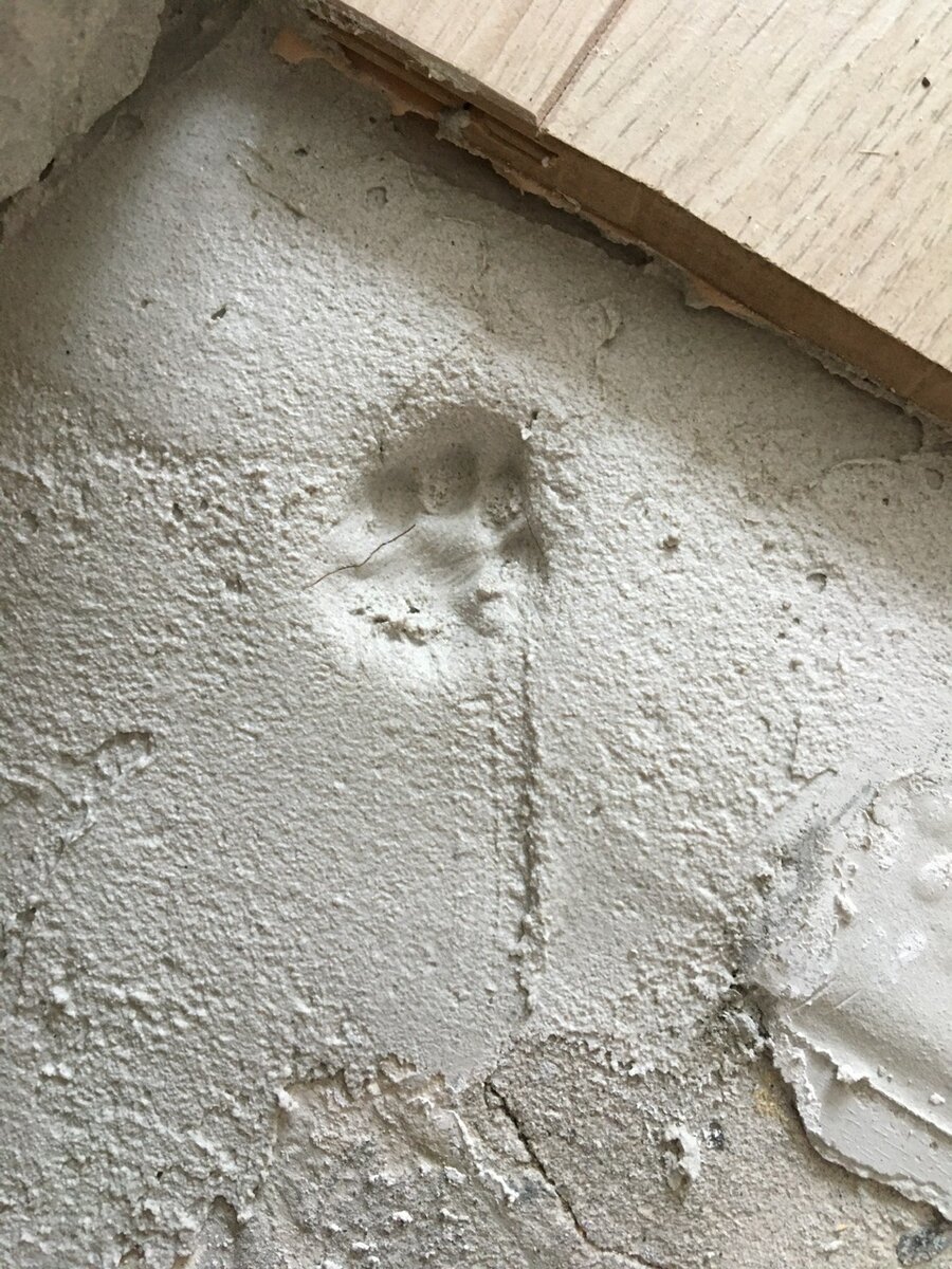 Оставила свой след