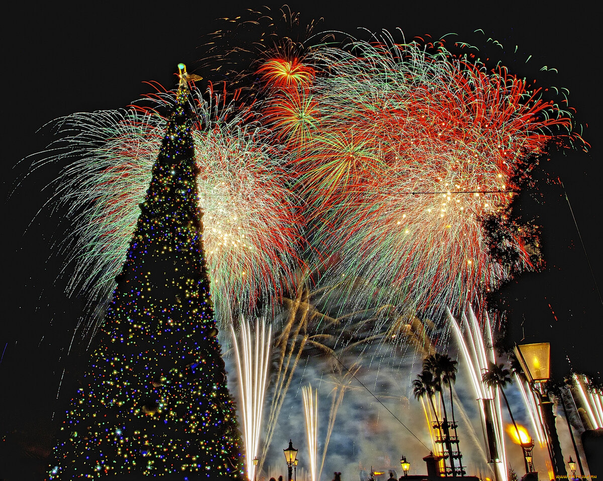 Фото взято с Яндекс. Картинки