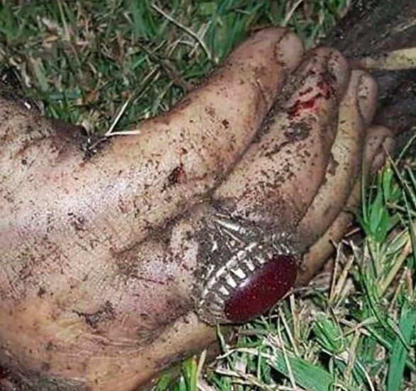 Утверждается, что убитый иранец был опознан по перстню.