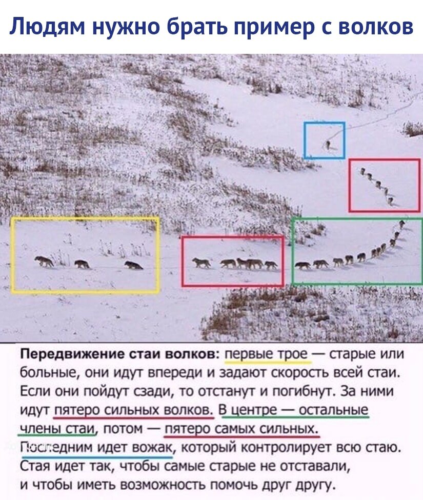 А ведь и правда есть над чем задуматься.