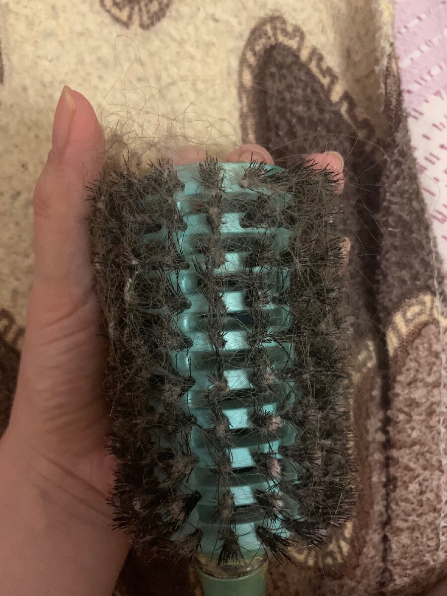 Так выглядела расческа после каждого расчесывания