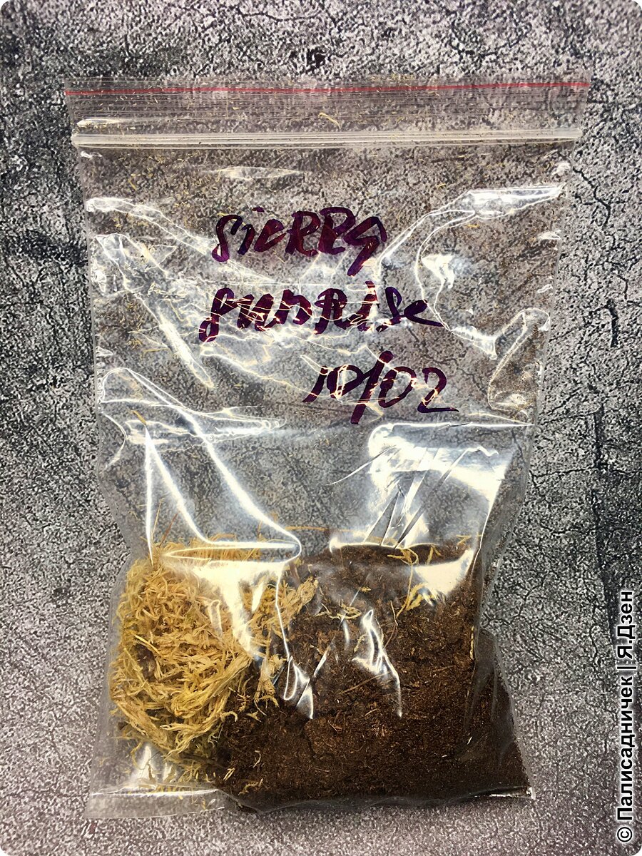 Торф + сфагнум.