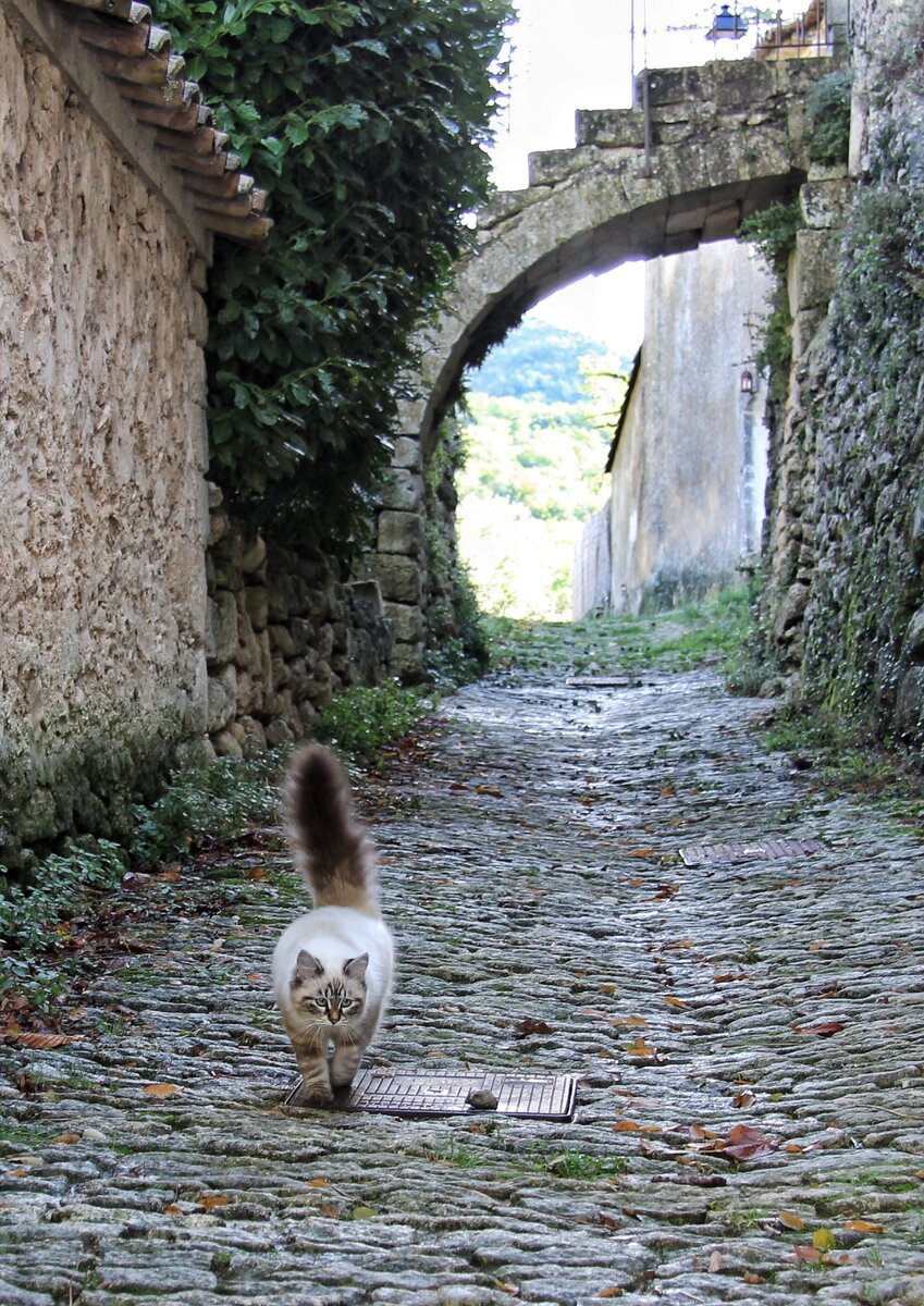 Фото автора. Provence Франция 