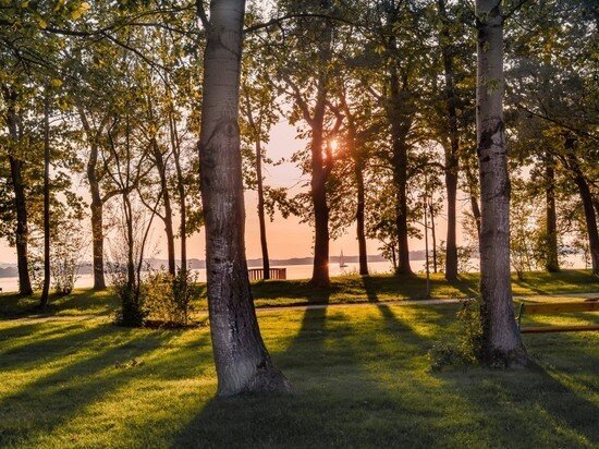 Фото - pxhere.com.