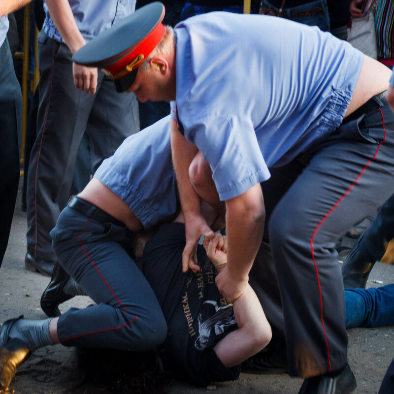 Яндекс картинки