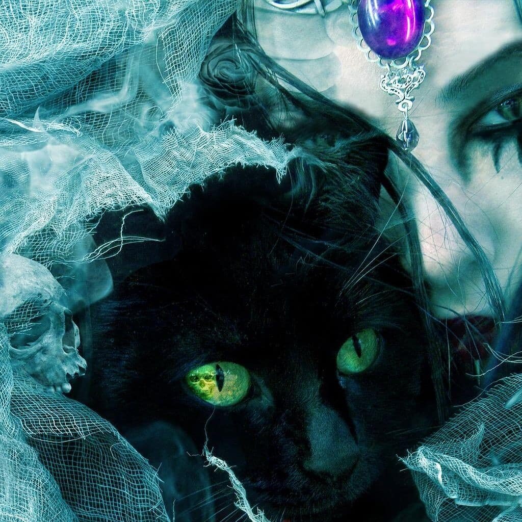 Яндекс картинки