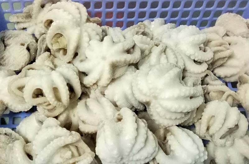 Осьминоги для продажи