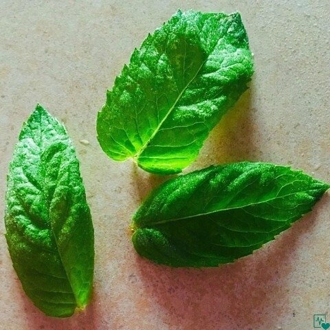 Лечим печень