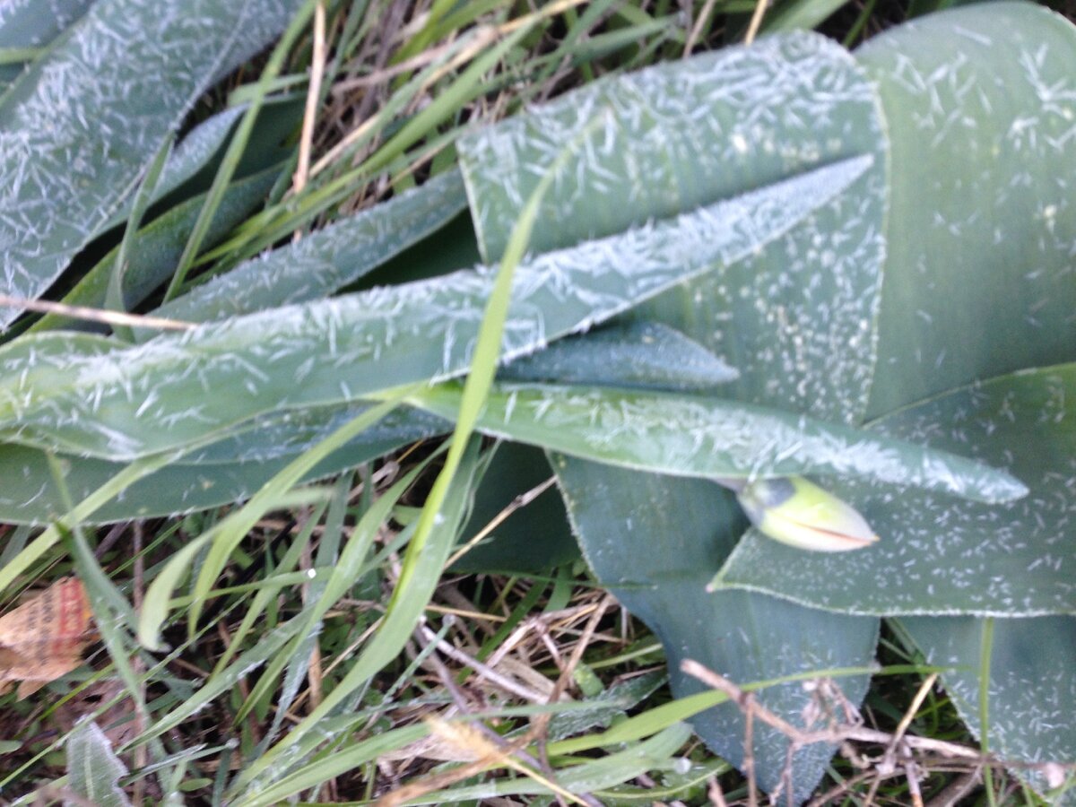 Фото сделано 20 апреля 2019 года.