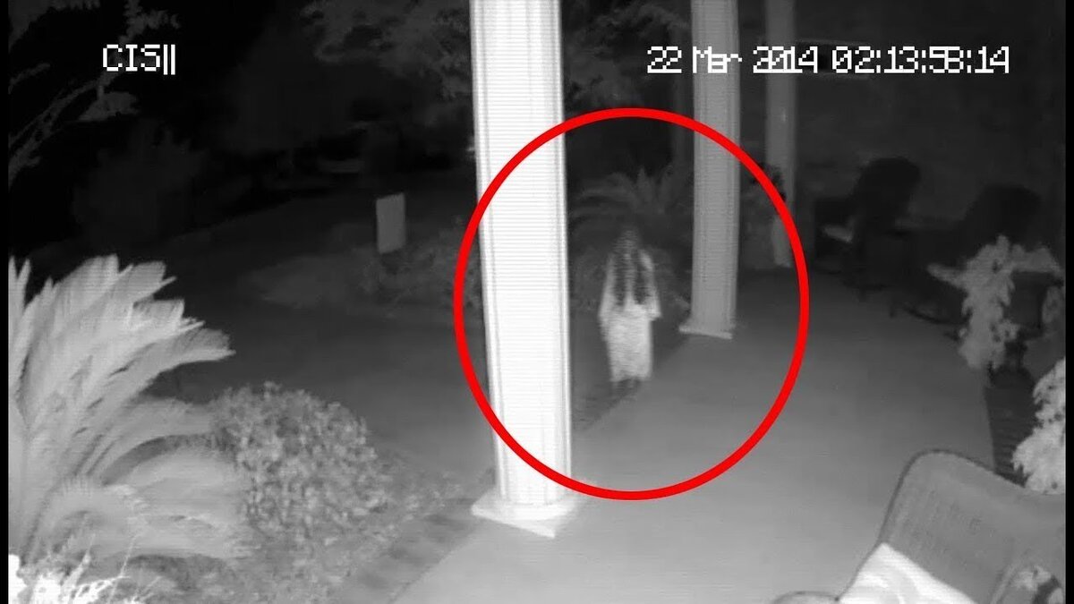 Если бы я увидел такое в своей камере, неделю бы не выходил из дома по ночам.