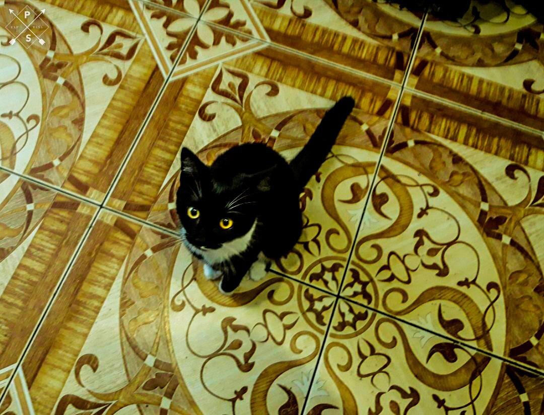 Подписывайтесь! Тут всегда самая актуальная и полезная информация!