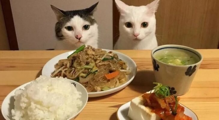 Фотоматериал: yandex.ru