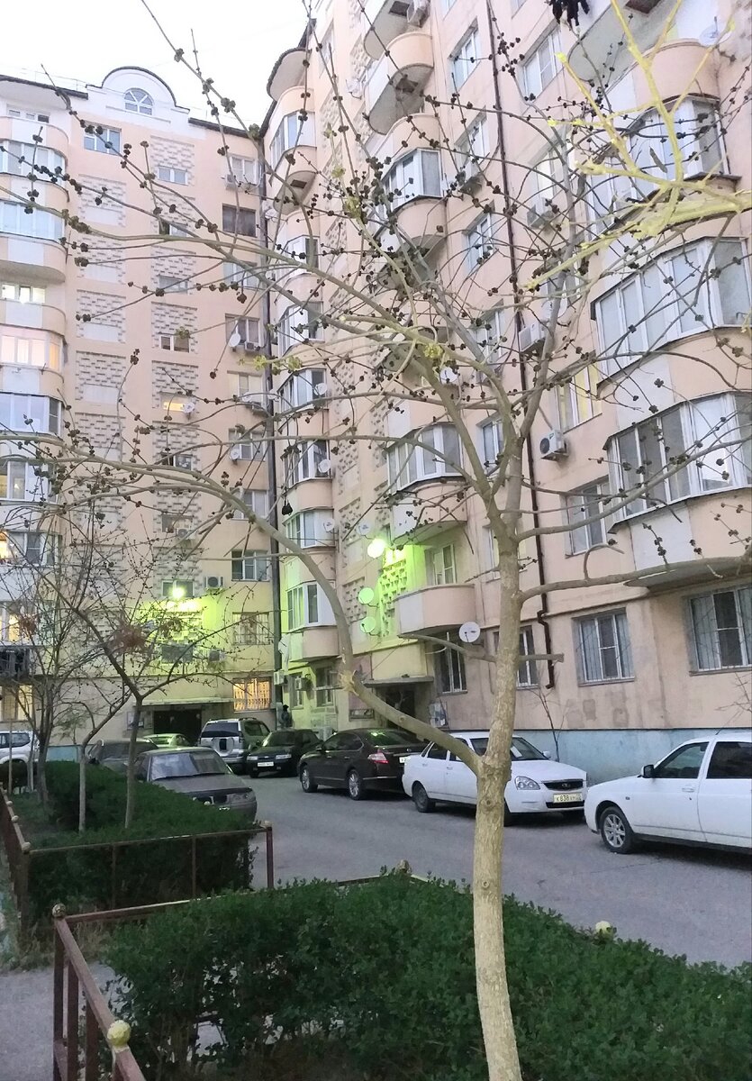 Весна в моем дворе