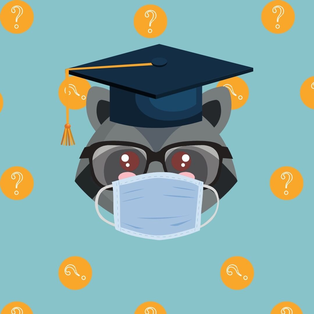 Чем заняться сидя дома?