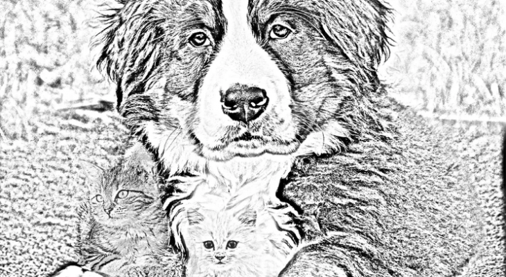 Фотоматериал: https://cdn.sm-news.ru/wp-content/uploads/2020/03/21/1-5.png