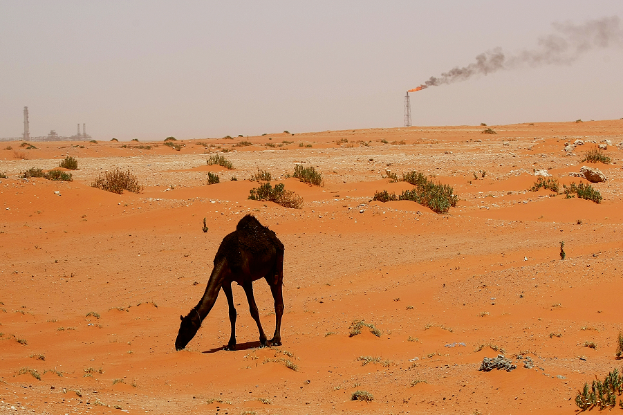 Саудовская Аравия

