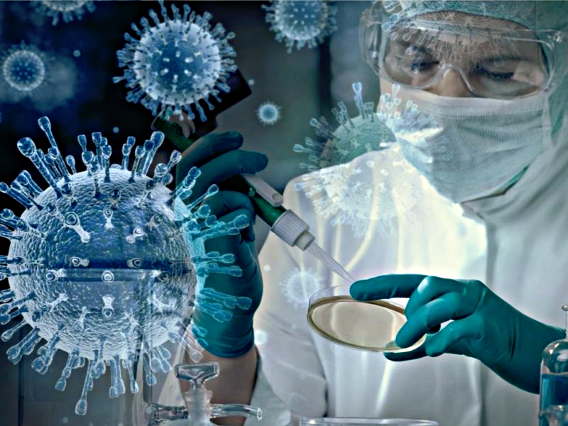 Картинка Яндекс-картинки.