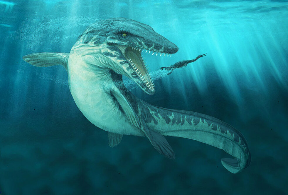 Вымершее морское пресмыкающееся с рыбообразным телом. Мозазавр динозавр. Лиоплевродон и Мозазавр. Водный динозавр Мозазавр. Динозавры морские Мозазавр.