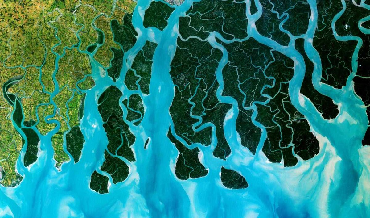 Иллюстрация - storge.pic2.me