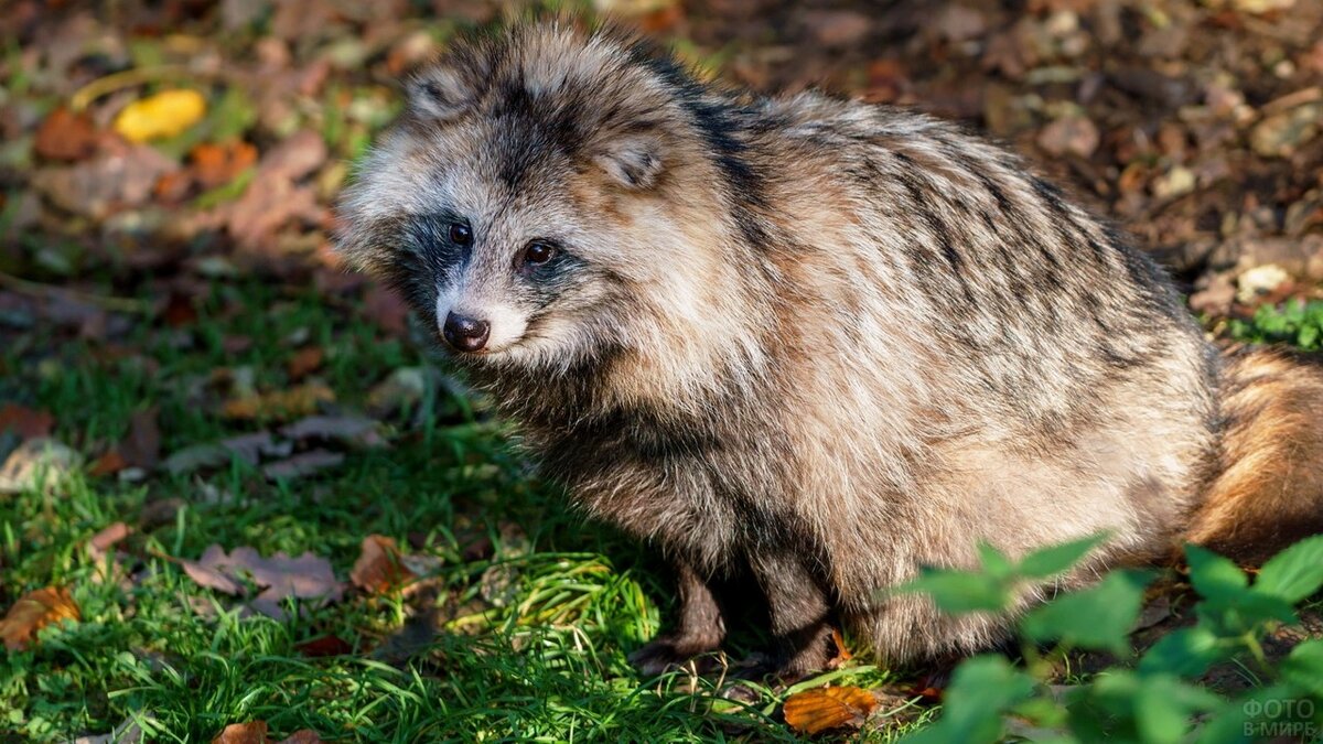 Фото из открытых источников