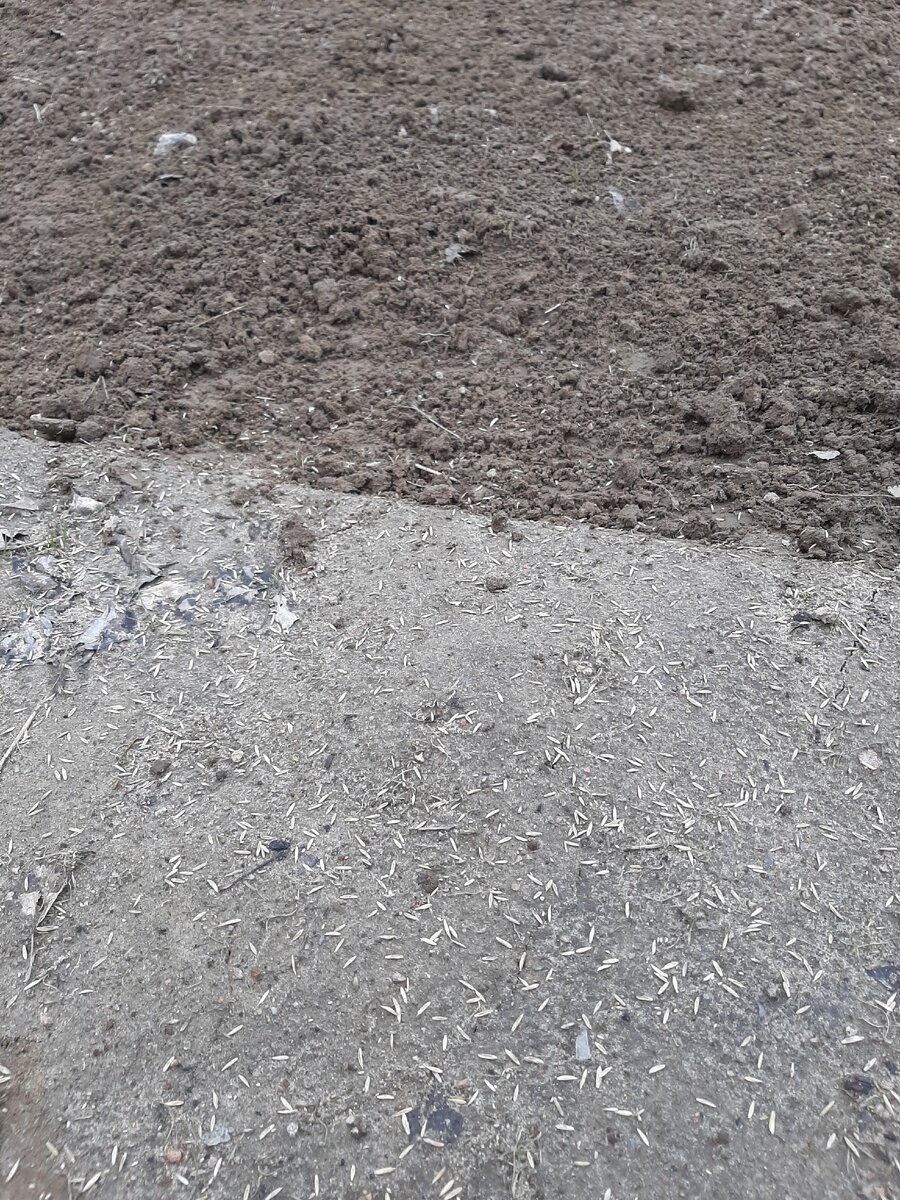 Наверху - готовая работа, внизу  еще земля спрессованная, надо доводить до ума