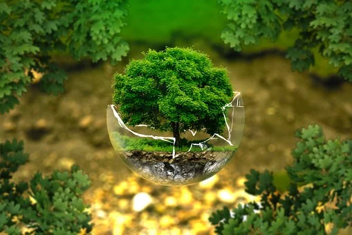 взято с pixabay.com