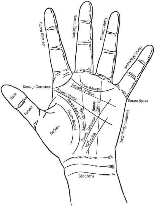 Линии на руке и их значение. Линии левой руки расшифровка. Хиромантия на левой ладони. Хиромантия левая рука линии. Линии хиромантии на ладони левой руки.