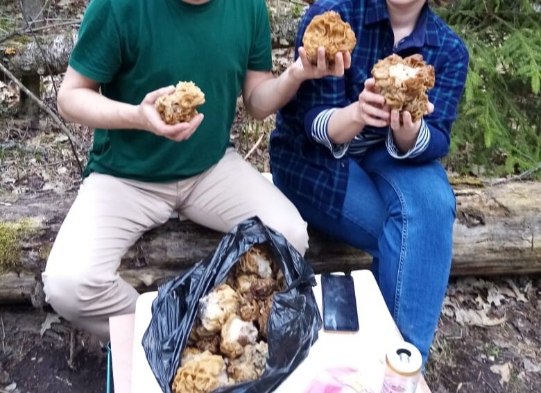 Некоторые грибы оказались очень большими.