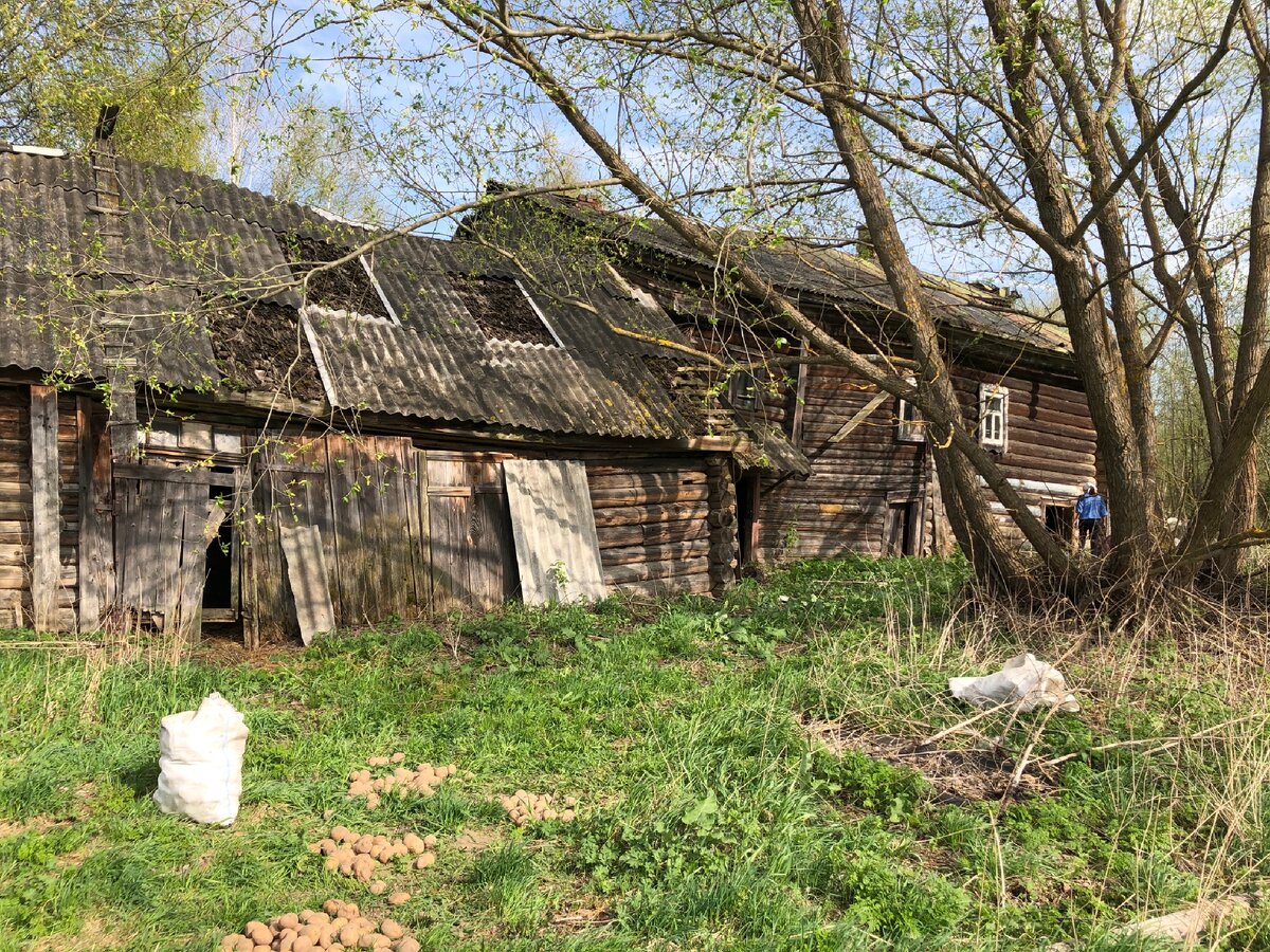 Разваливающийся дом прабабушки