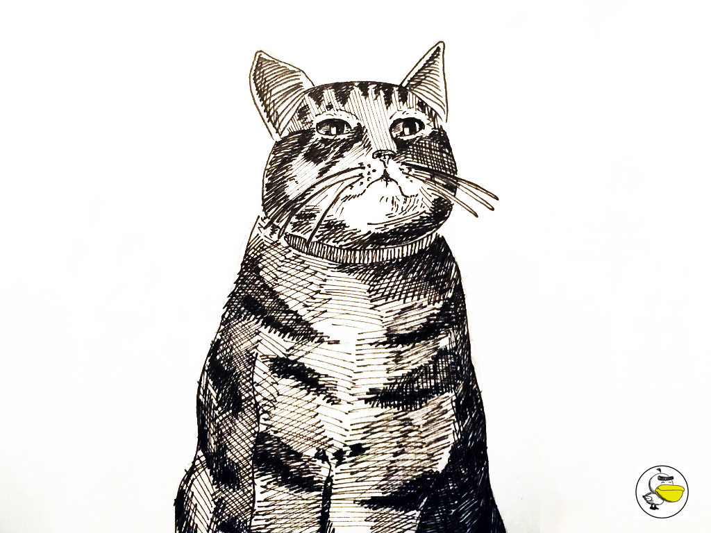 авторская зарисовка