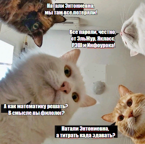 сделала сама в программке , мем привычный, содержание авторское. 