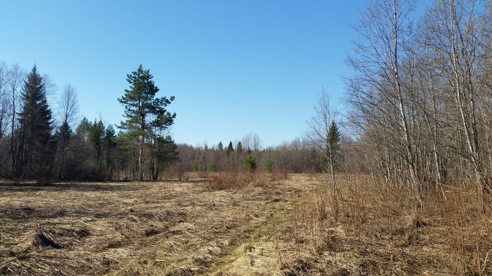 Место стоянки.

