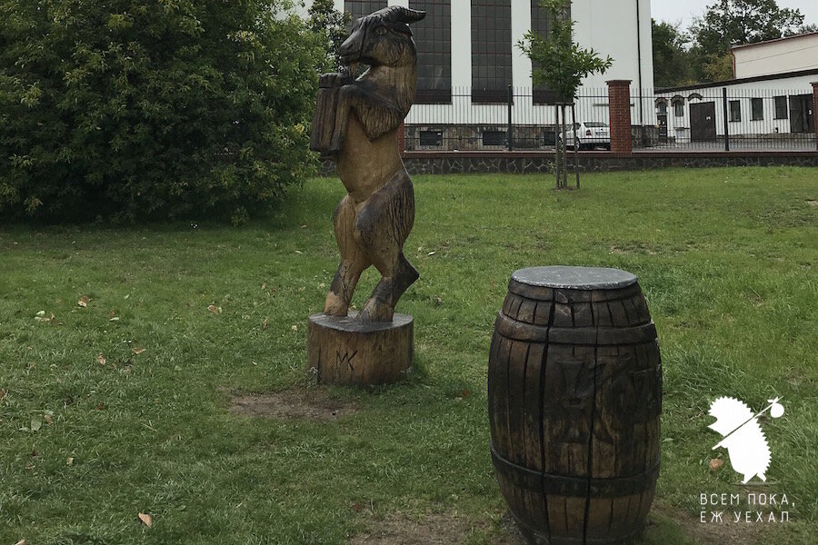 Фото: "Всем пока, ёж уехал"