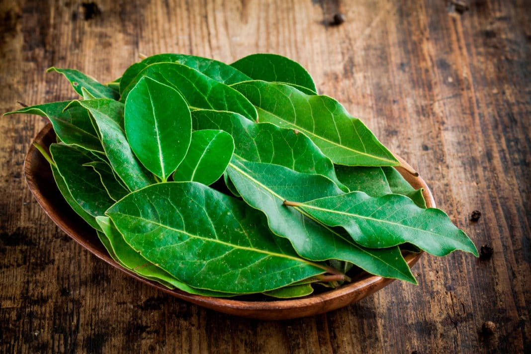 Слышите запах?