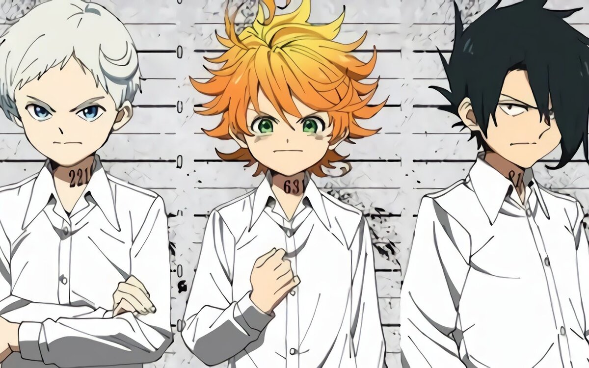 Ключевые персонажи этого аниме являются одиннадцатилетние дети по имени Эма,Рей и Норман Эма является девочкой Рей и Норман мальчики .