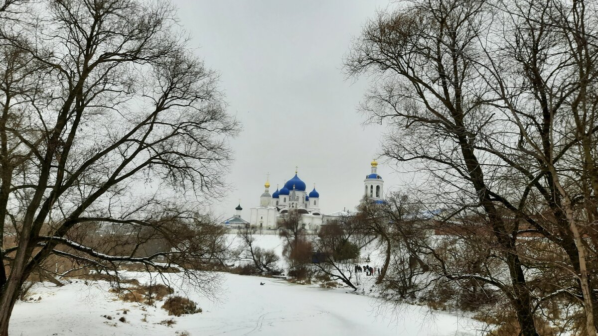 Вид на Свято-Боголюбский монастырь