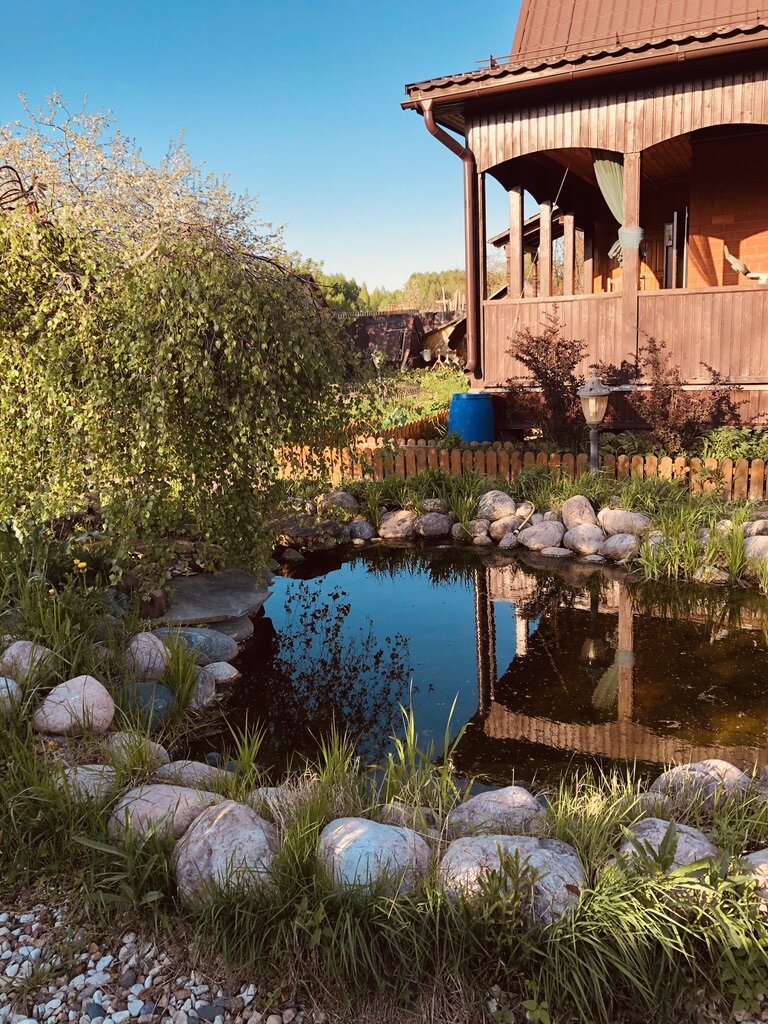 Наш прудик. 