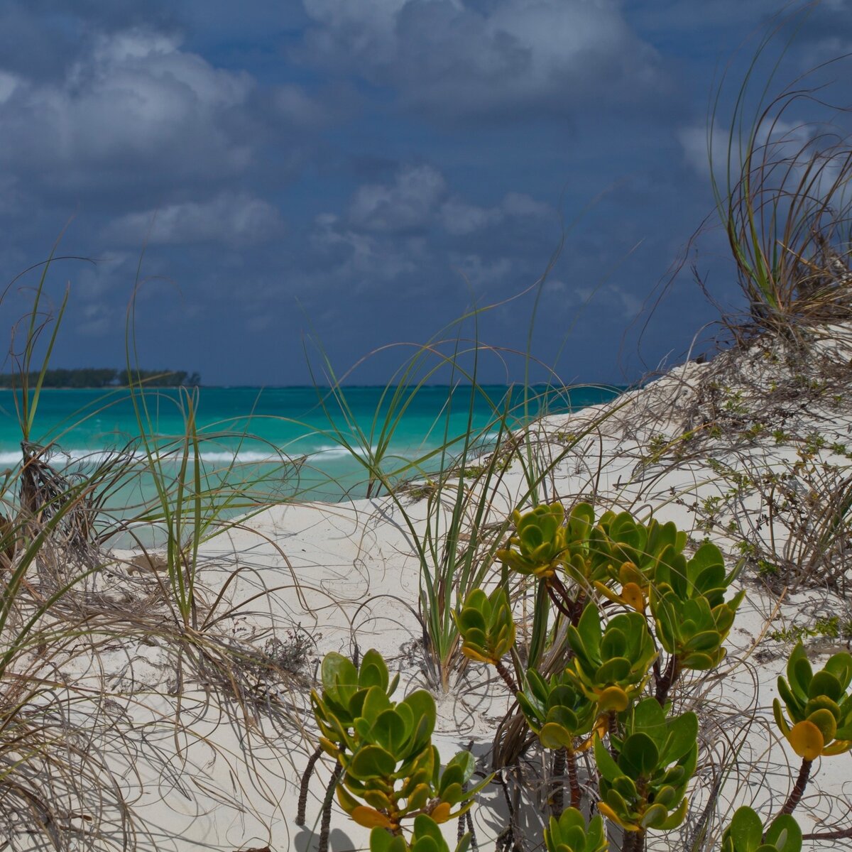 Песчаная дюна